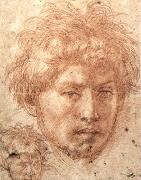 Andrea del Sarto, Head of a Young Man